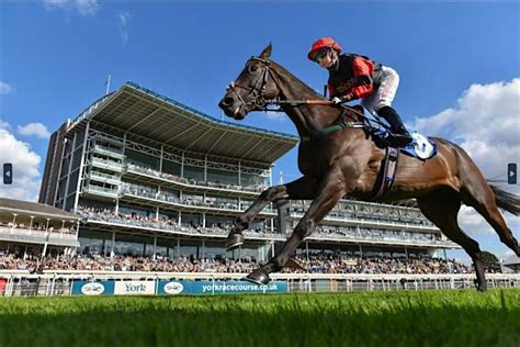 2024 york races ebor hospitality|Ebor Stand Boxes .